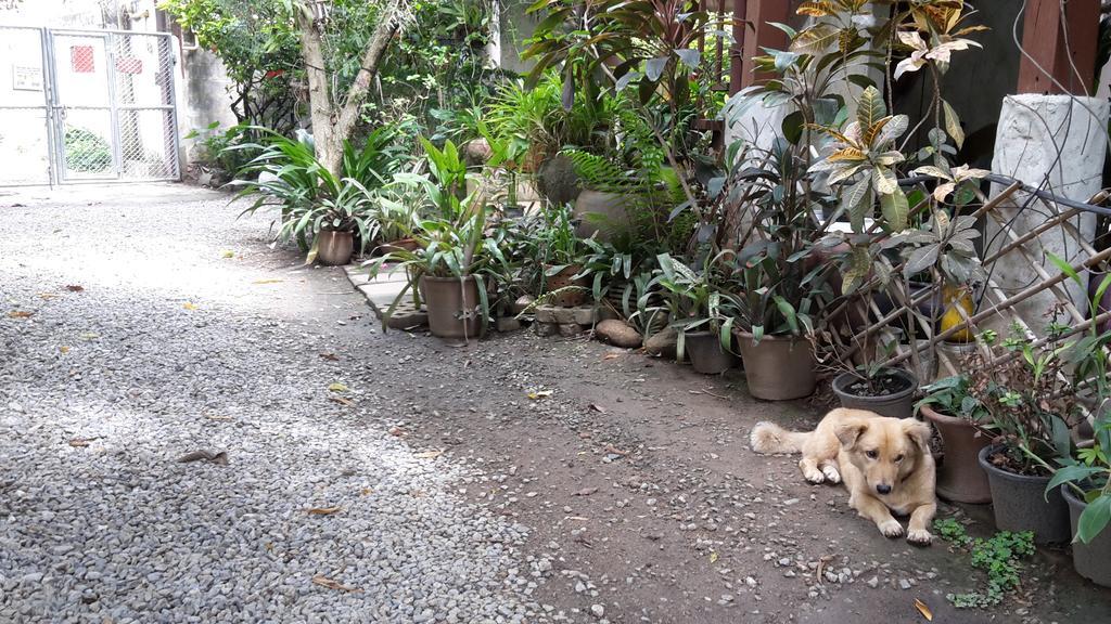 Baan Songjum Hotel Chiang Mai Bagian luar foto
