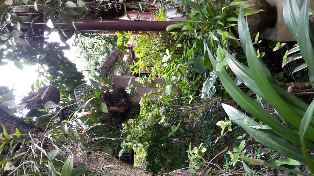 Baan Songjum Hotel Chiang Mai Bagian luar foto