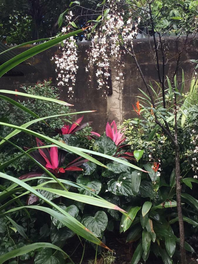 Baan Songjum Hotel Chiang Mai Bagian luar foto